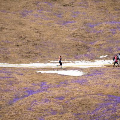 Avtorklemenudovc 111