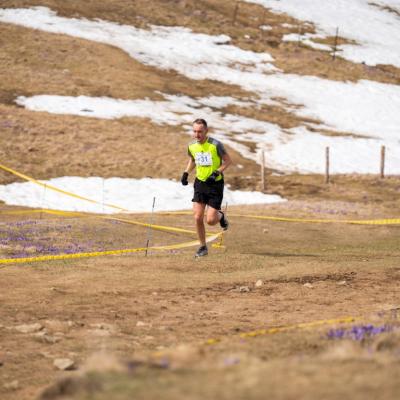 Avtorklemenudovc 117