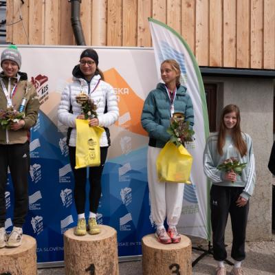 Avtorklemenudovc 119