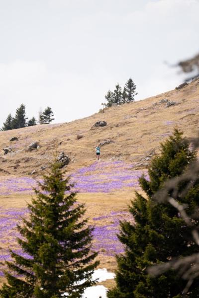 Avtorklemenudovc 121