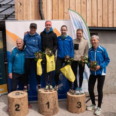 Avtorklemenudovc 134